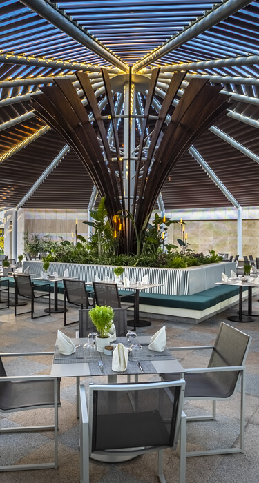 Harmony Ana Restoran 2