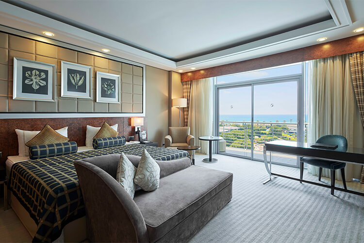 Başkanlık Süiti thumbnail 2